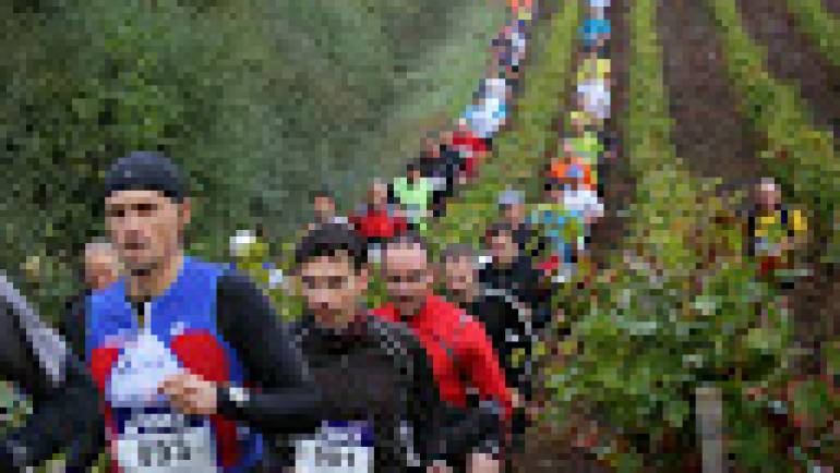 Trail de la Vallée de l’Yon – 12 Octobre 2014