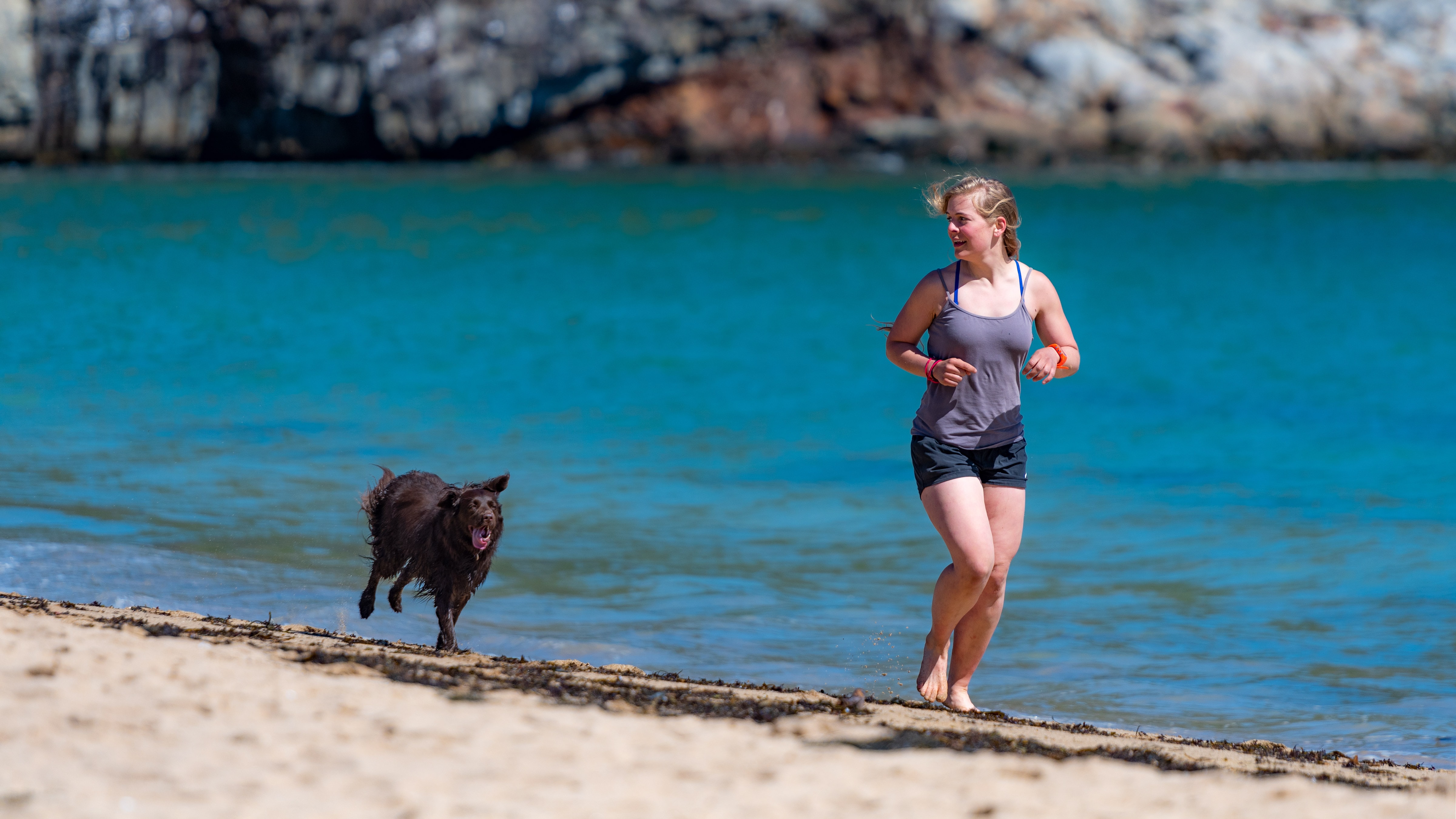 Comment réagir face à un chien lors d'un jogging ? – Athlétic