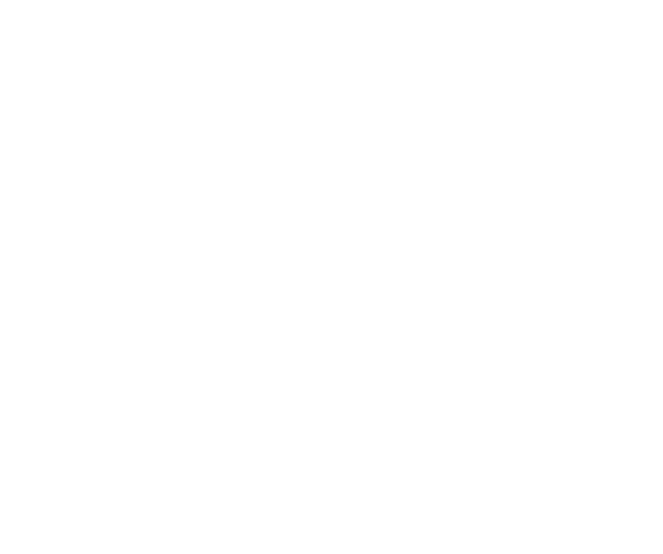 focused-agnesi.193-70-81-238.plesk.page